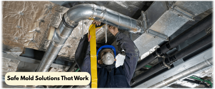 Air Duct Mold Removal in Smyrna