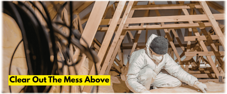 Attic Cleaning Smyrna