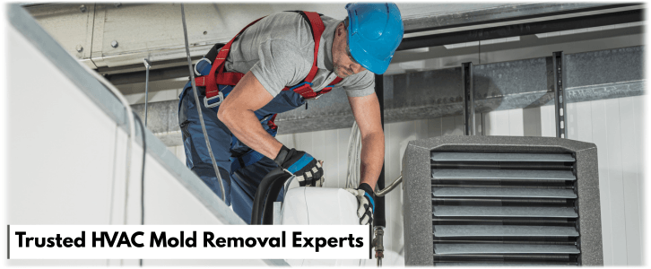 HVAC Mold Removal Smyrna